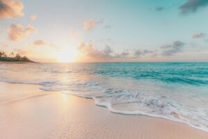 John D. MacArthur Beach State Park
